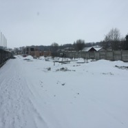IMG_5865.JPG